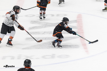Löwen Frankfurt - Schwenninger Wildwings - 4.1.26 - 053