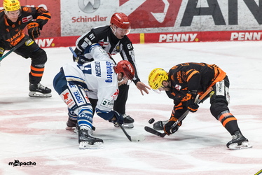 Löwen Frankfurt - Schwenninger Wildwings - 4.1.26 - 067