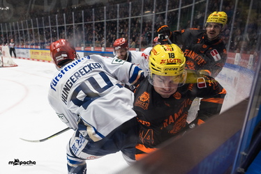 Löwen Frankfurt - Schwenninger Wildwings - 4.1.26 - 077