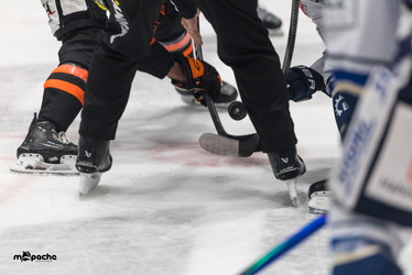 Löwen Frankfurt - Schwenninger Wildwings - 4.1.26 - 078