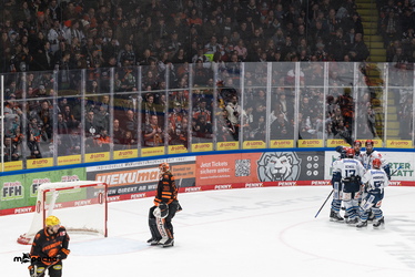 Löwen Frankfurt - Schwenninger Wildwings - 4.1.26 - 084