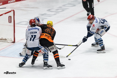 Löwen Frankfurt - Schwenninger Wildwings - 4.1.26 - 102