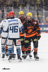 Löwen Frankfurt - Schwenninger Wildwings - 4.1.26 - 124