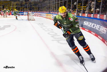 Löwen Frankfurt - Adler Mannheim - 9.1.26 - 002
