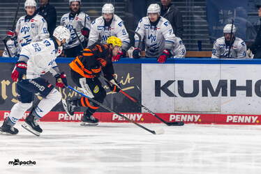 Löwen Frankfurt - Adler Mannheim - 9.1.26 - 016