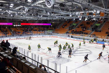 Grizzlys Wolfsburg - Löwen Frankfuert - 11.1.26 - 005