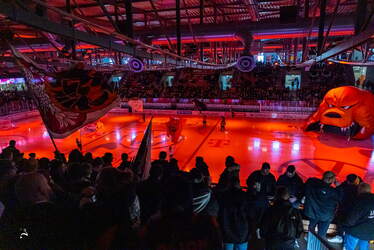 Grizzlys Wolfsburg - Löwen Frankfuert - 11.1.26 - 008