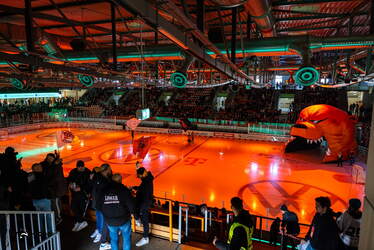 Grizzlys Wolfsburg - Löwen Frankfuert - 11.1.26 - 009