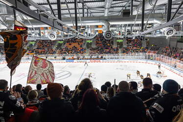 Grizzlys Wolfsburg - Löwen Frankfuert - 11.1.26 - 091