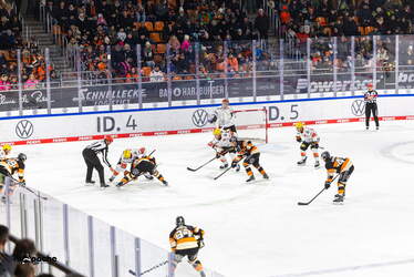 Grizzlys Wolfsburg - Löwen Frankfuert - 11.1.26 - 113