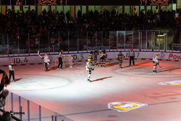 Grizzlys Wolfsburg - Löwen Frankfuert - 11.1.26 - 116