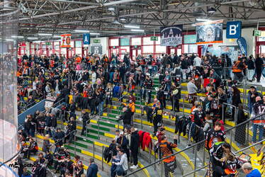 Löwen Frankfurt - ERC Ingolstadt - 18.1.26 - 003