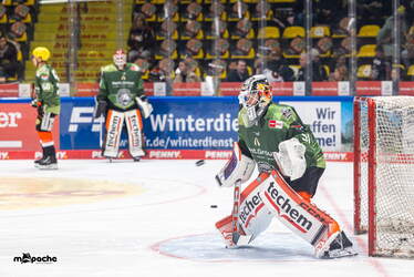 Löwen Frankfurt - ERC Ingolstadt - 18.1.26 - 007