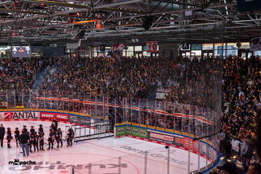 Löwen Frankfurt - ERC Ingolstadt - 18.1.26 - 015
