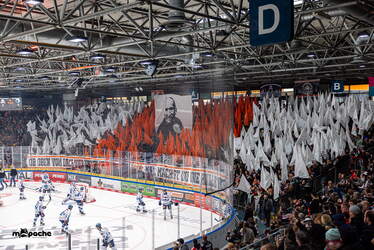 Löwen Frankfurt - ERC Ingolstadt - 18.1.26 - 023