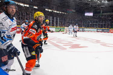 Löwen Frankfurt - ERC Ingolstadt - 18.1.26 - 037