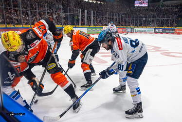 Löwen Frankfurt - ERC Ingolstadt - 18.1.26 - 036