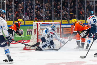 Löwen Frankfurt - ERC Ingolstadt - 18.1.26 - 039
