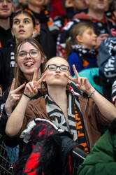 Löwen Frankfurt - ERC Ingolstadt - 18.1.26 - 041