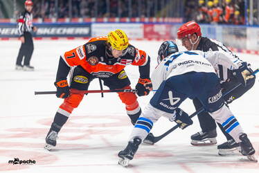 Löwen Frankfurt - ERC Ingolstadt - 18.1.26 - 042