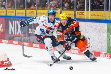 Löwen Frankfurt - ERC Ingolstadt - 18.1.26 - 045