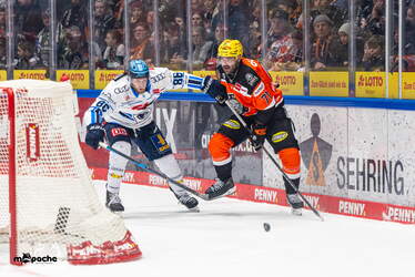 Löwen Frankfurt - ERC Ingolstadt - 18.1.26 - 046