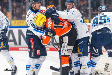 Löwen Frankfurt - ERC Ingolstadt - 18.1.26 - 049