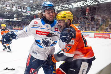 Löwen Frankfurt - ERC Ingolstadt - 18.1.26 - 050