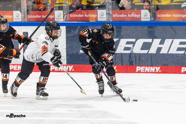 Löwen Frankfurt - ERC Ingolstadt - 18.1.26 - 055