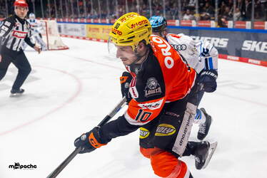 Löwen Frankfurt - ERC Ingolstadt - 18.1.26 - 068