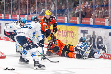 Löwen Frankfurt - ERC Ingolstadt - 18.1.26 - 077