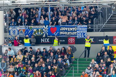 Löwen Frankfurt - ERC Ingolstadt - 18.1.26 - 079