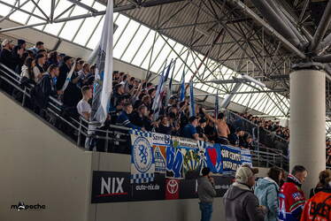 Löwen Frankfurt - ERC Ingolstadt - 18.1.26 - 080