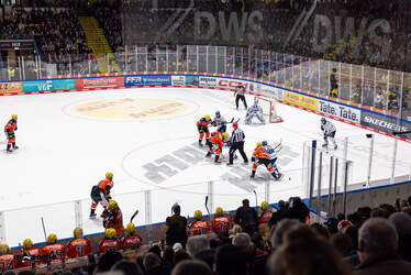 Löwen Frankfurt - ERC Ingolstadt - 18.1.26 - 081