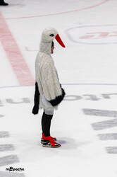Löwen Frankfurt - ERC Ingolstadt - 18.1.26 - 083