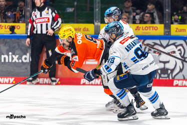 Löwen Frankfurt - ERC Ingolstadt - 18.1.26 - 087