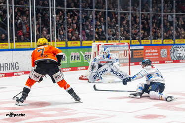 Löwen Frankfurt - ERC Ingolstadt - 18.1.26 - 089