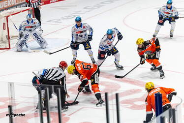 Löwen Frankfurt - ERC Ingolstadt - 18.1.26 - 093