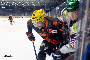 Löwen Frankfurt - Eisbären Berlin - 25.1.26 - 032