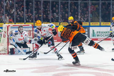 Löwen Frankfurt - Pinguins Bremerhaven - 25.2.26 - 023
