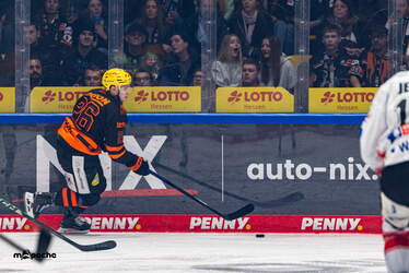 Löwen Frankfurt - Pinguins Bremerhaven - 25.2.26 - 025