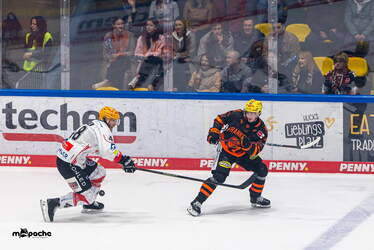 Löwen Frankfurt - Pinguins Bremerhaven - 25.2.26 - 029