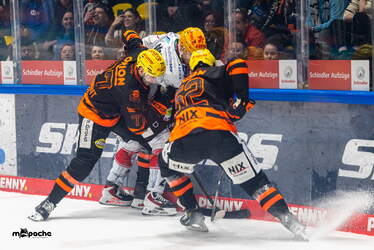 Löwen Frankfurt - Pinguins Bremerhaven - 25.2.26 - 033