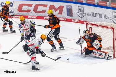 Löwen Frankfurt - Pinguins Bremerhaven - 25.2.26 - 036