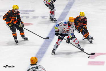 Löwen Frankfurt - Pinguins Bremerhaven - 25.2.26 - 057