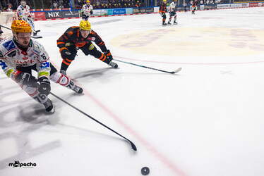 Löwen Frankfurt - Pinguins Bremerhaven - 25.2.26 - 061