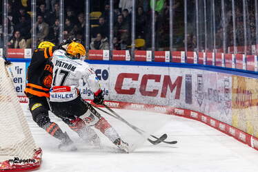 Löwen Frankfurt - Pinguins Bremerhaven - 25.2.26 - 064