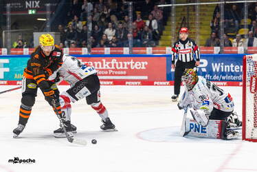 Löwen Frankfurt - Pinguins Bremerhaven - 25.2.26 - 065