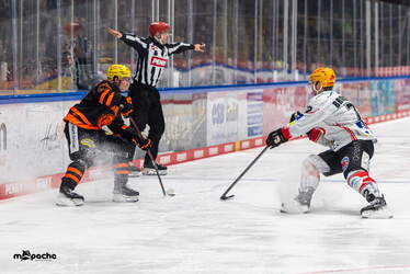 Löwen Frankfurt - Pinguins Bremerhaven - 25.2.26 - 108