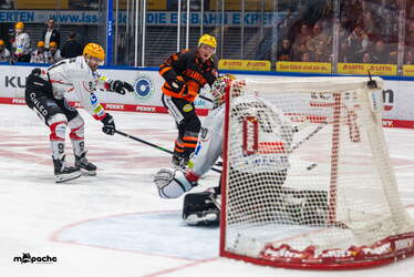 Löwen Frankfurt - Pinguins Bremerhaven - 25.2.26 - 110